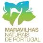 Ria Formosa Voted one of the 7 Natural Wonders of Portugal